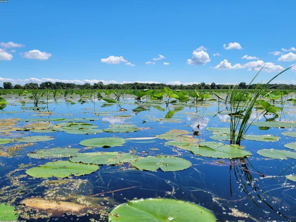 វិភាគវាយតម្លៃ: វិធីថ្មីសម្រាប់ការវាយតម្លៃគម្រោង