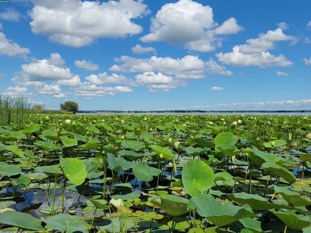 វិធីសាស្ត្រដ៏មានប្រសិទ្ធភាពសម្រាប់ការវាយតម្លៃគម្រោង